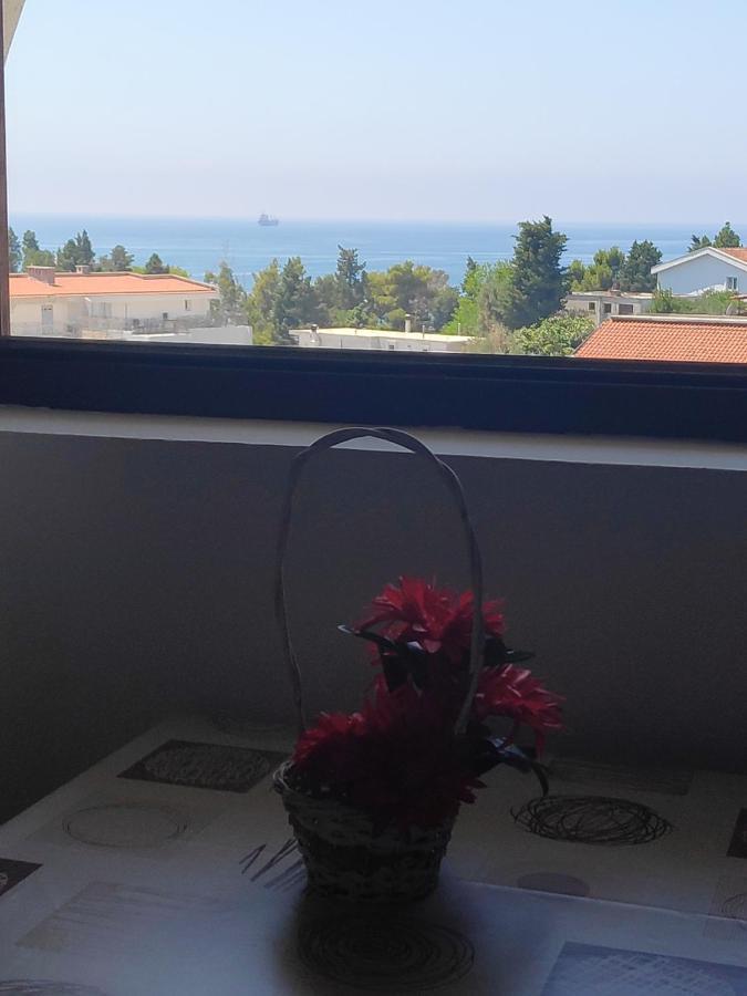 Apartmani Vitic Bar Εξωτερικό φωτογραφία